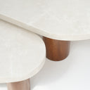 Beige marble Vionna coffee table set with dark wood veneer base
