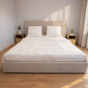Maelia Upholstered Bed