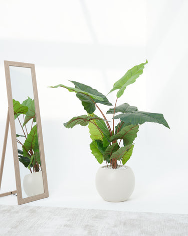 Alocasia Artificial Plant