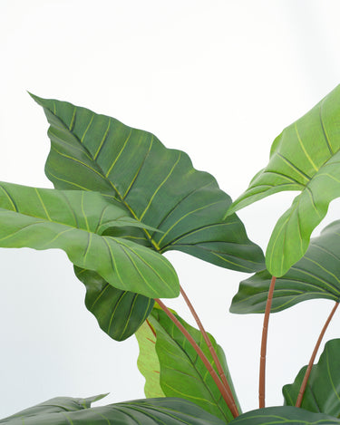 Alocasia Artificial Plant