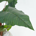Alocasia Artificial Plant