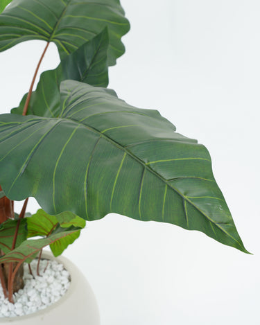 Alocasia Artificial Plant