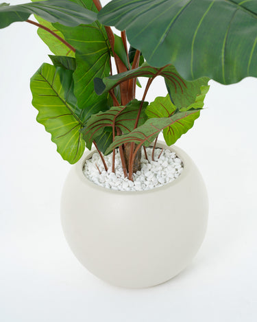 Alocasia Artificial Plant