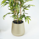 Bamboo Artificial Plant