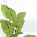 Banana Leaf Artificial Plant