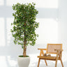 Ficus Artificial Plant
