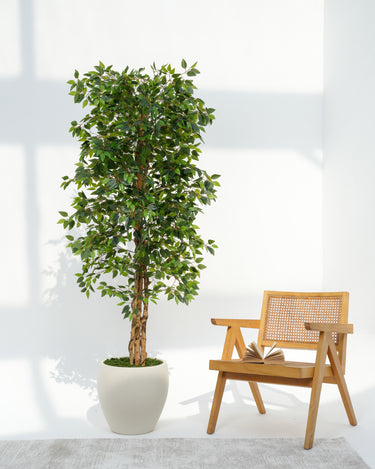 Ficus Artificial Plant