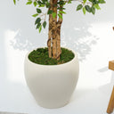 Ficus Artificial Plant