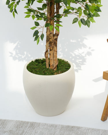 Ficus Artificial Plant