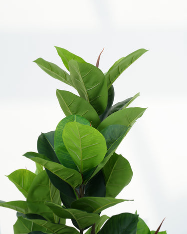 Leaf Fig Artificial Plant