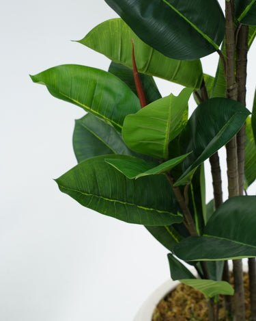 Leaf Fig Artificial Plant