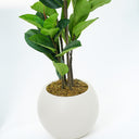 Leaf Fig Artificial Plant