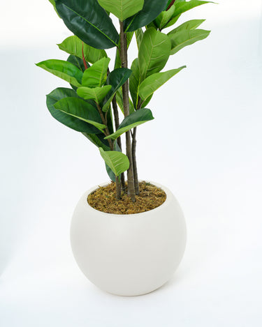 Leaf Fig Artificial Plant
