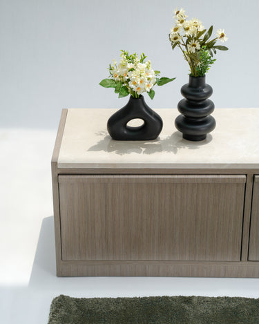 Nerissa Media Unit