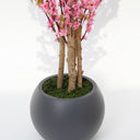Pink Cherry Blossom Artificial Plant (With Pot)