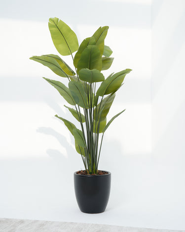 Schefflera Arboricola Artificial Plant