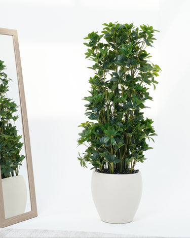 Schefflera Arboricola Artificial Plant