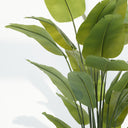 Schefflera Arboricola Artificial Plant