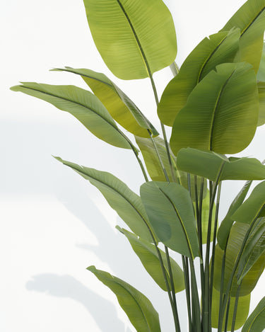 Schefflera Arboricola Artificial Plant