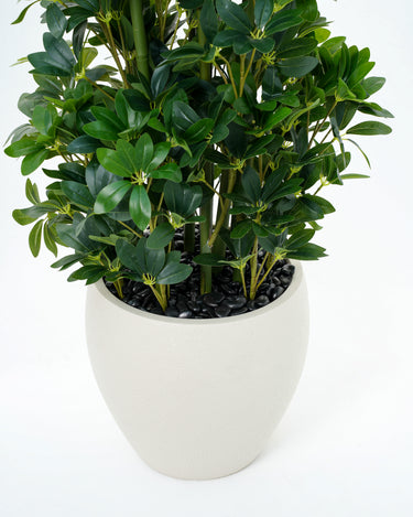 Schefflera Arboricola Artificial Plant