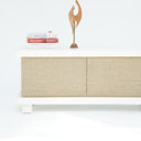 Taro PU Paint & Rattan TV Unit