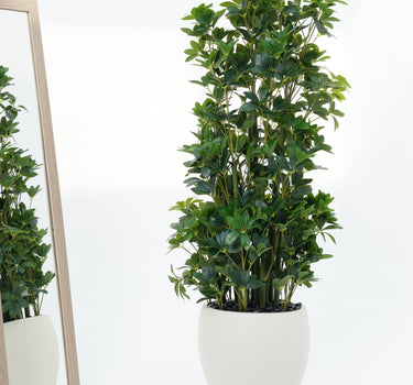 Schefflera Arboricola Artificial Plant