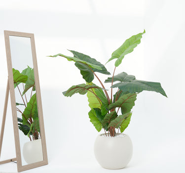 Alocasia Artificial Plant