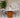 Beige Marble Dining Table with Crafted Wooden Base