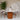 Sera Beige Marble And Wooden Base Dining Table
