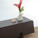 Adela Veneered TV Unit