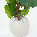 Alocasia Artificial Plant