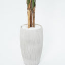 Areca Palm Artificial Plant