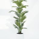 Areca Palm Artificial Plant