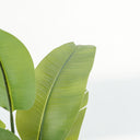 Banana Leaf Artificial Plant