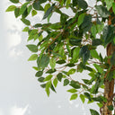 Ficus Artificial Plant