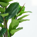 Leaf Fig Artificial Plant