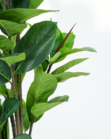 Leaf Fig Artificial Plant