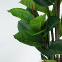 Leaf Fig Artificial Plant