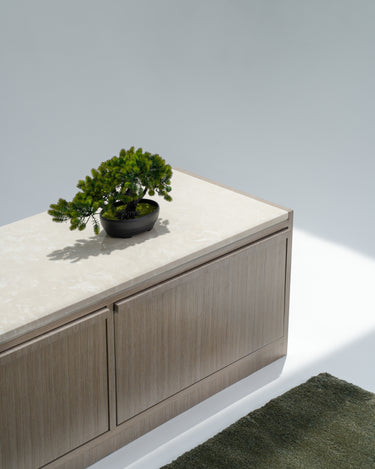 Nerissa Media Unit