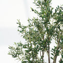 Olive Artificial Tree with Olives (Pot Not Included)