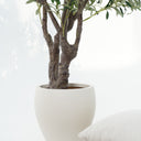 Olive Artificial Tree with Olives (Pot Not Included)