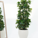 Schefflera Arboricola Artificial Plant