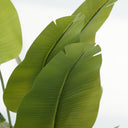 Schefflera Arboricola Artificial Plant