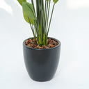 Schefflera Arboricola Artificial Plant